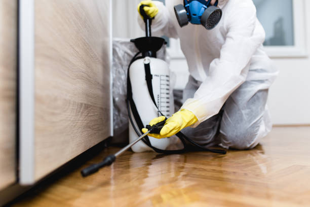 Best Cockroach Control Services  in Perryopolis, PA