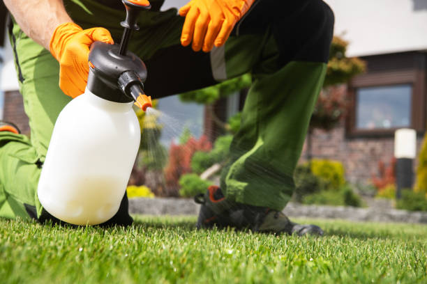 Best Emergency Pest Control  in Perryopolis, PA