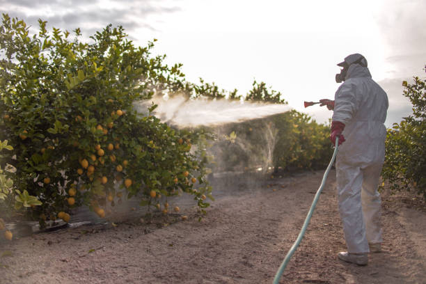 Best Pest Removal Services  in Perryopolis, PA