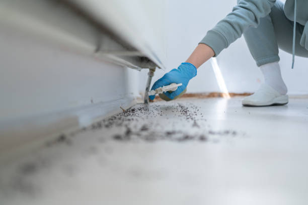 Best Pest Control for Businesses  in Perryopolis, PA